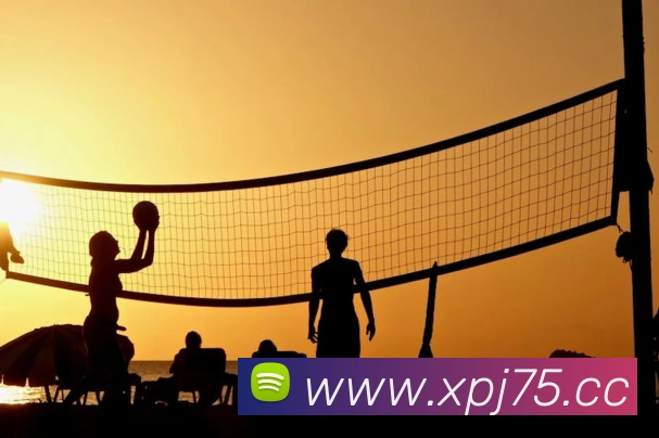 澳门新葡京网站入口平台生态图