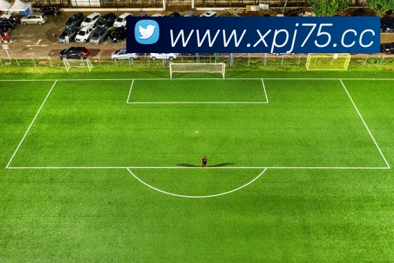 澳门新葡京网站入口全站App